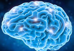 CTE Recognition Foundation